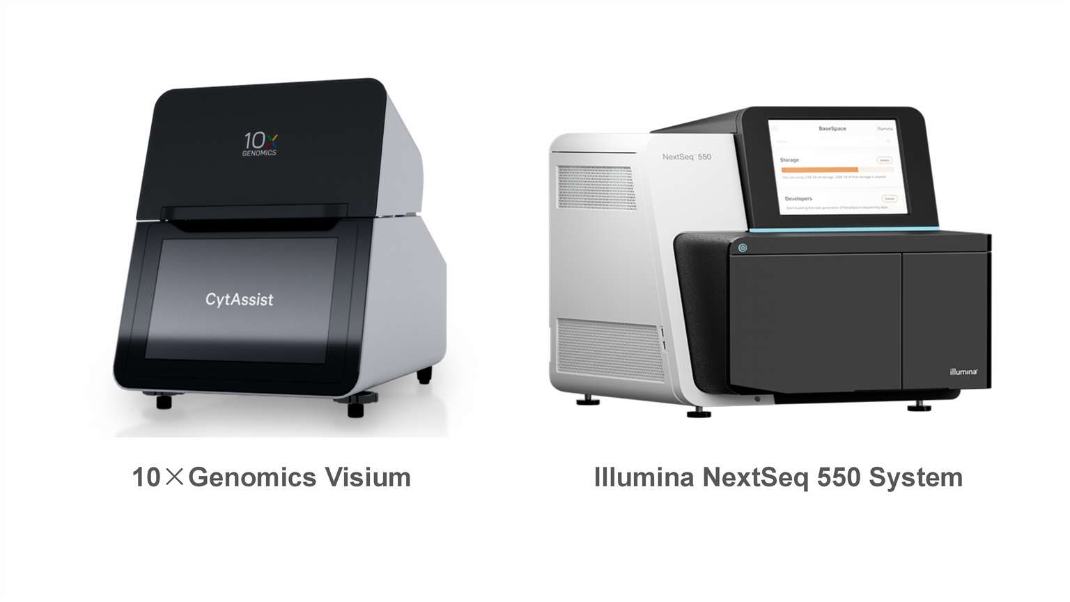 Spatial Transcriptomics Service platform