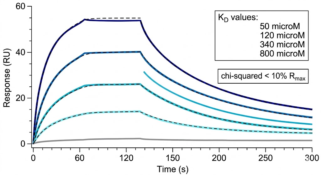 Fig. 3 and Fig. 5 from Kim et al. 2025 showing SPR validation of fragment hits and crystallographic binding sites in TRIM21 PRY-SPRY domain.