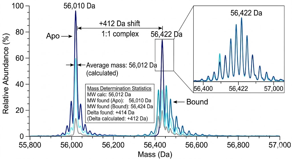 SPR sensorgram overlay showing concentration-dependent binding of four fragment hits with KD values from 50 to 800 micromolar concentration range.