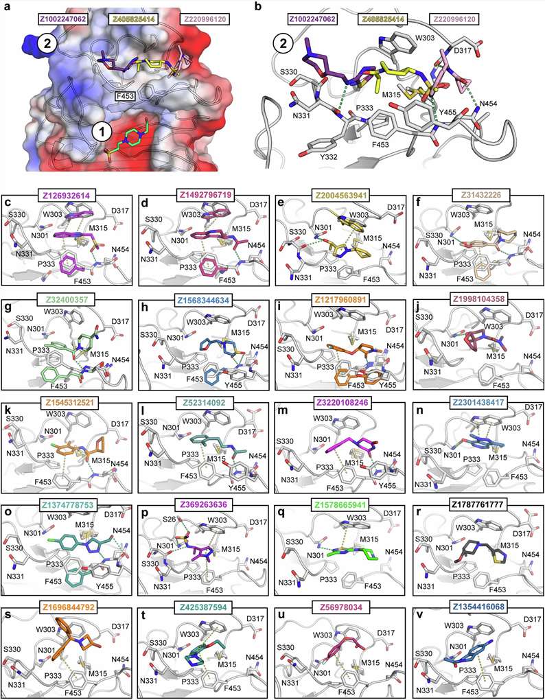 HDX-MS epitope map difference plot showing reduced deuterium uptake in six consecutive peptides defining the binding epitope of a validated hit compound.