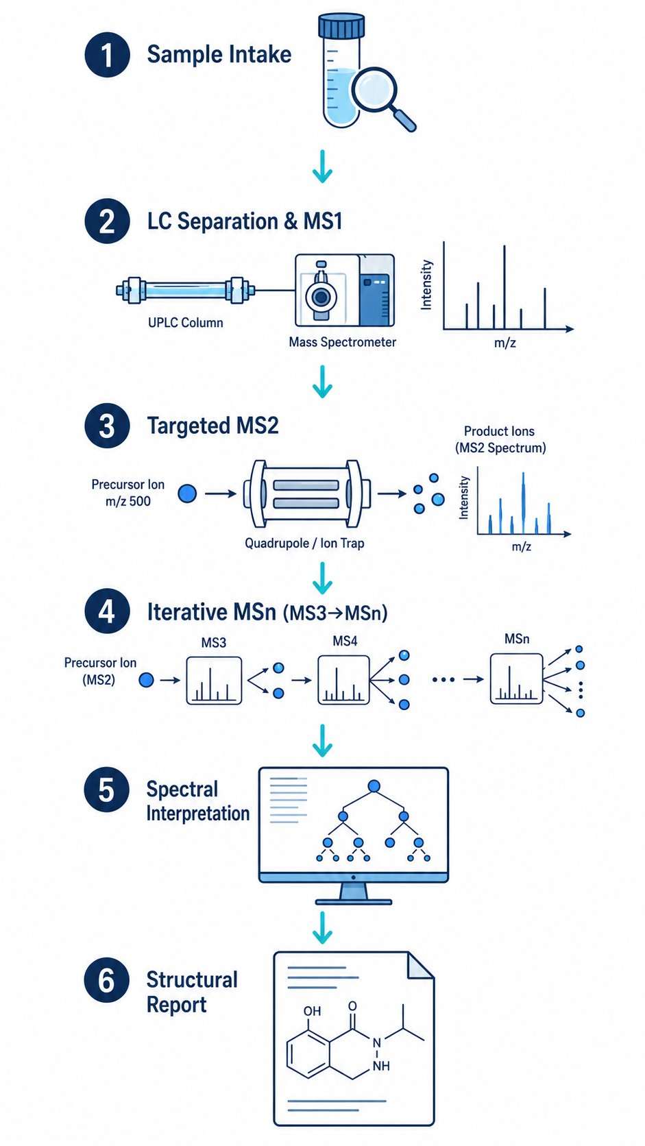MSn structural elucidation workflow with six technical steps from sample to structure.