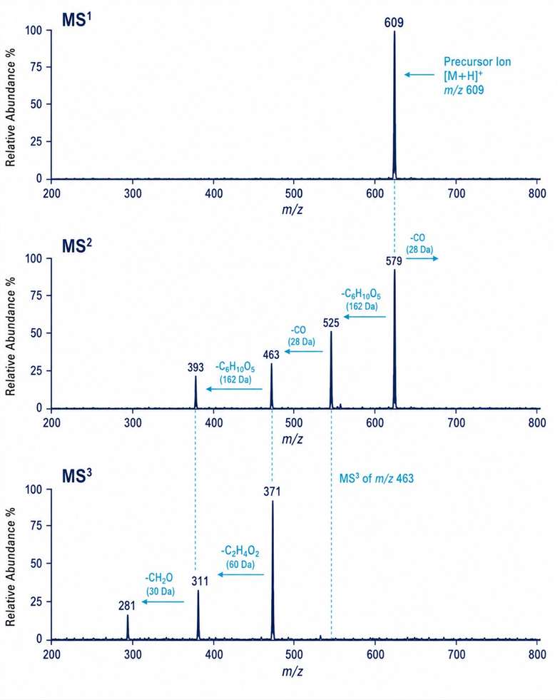 MSn mass spectra showing stepwise fragmentation from MS1 to MS3.
