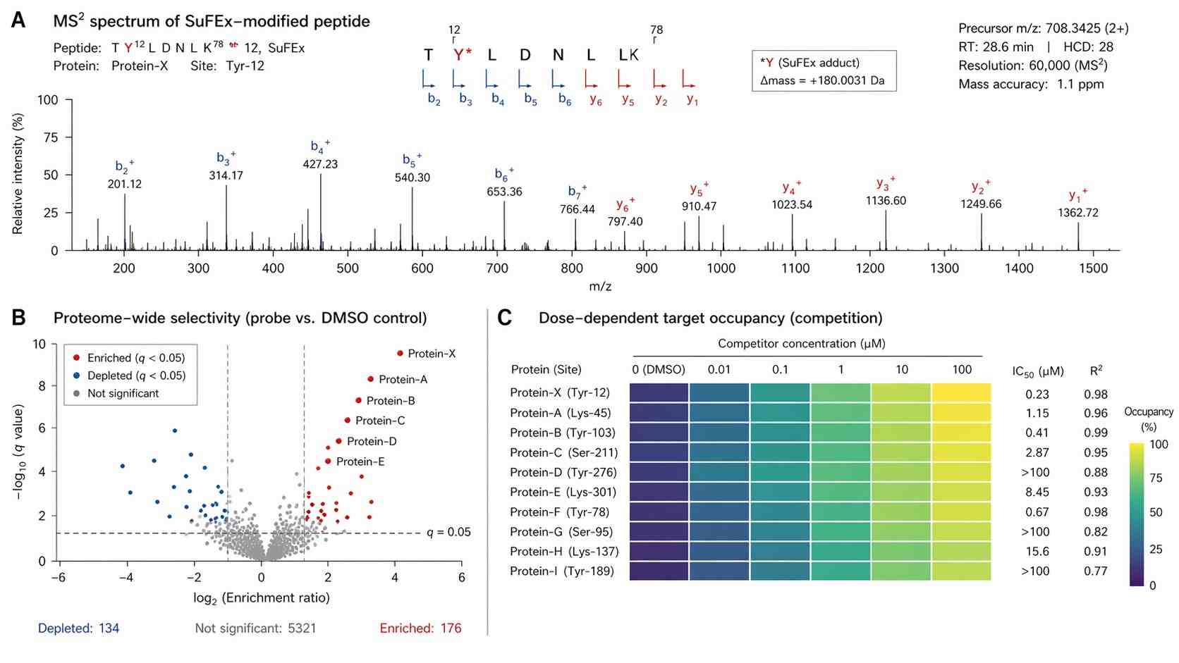 A composite scientific data panel showing MS2 fragmentation spectrum confirming a SuFEx-modified residue, a volcano plot for selectivity, and a heatmap of dose-dependent occupancy.