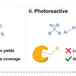 Figure 1 from PMC9942091 showing the profiling of Sulfur(VI) Fluorides as reactive functionalities across the proteome.