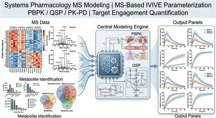 Systems pharmacology MS modeling workflow integrating LC-MS/MS proteomics data with computational PBPK and QSP models for drug discovery