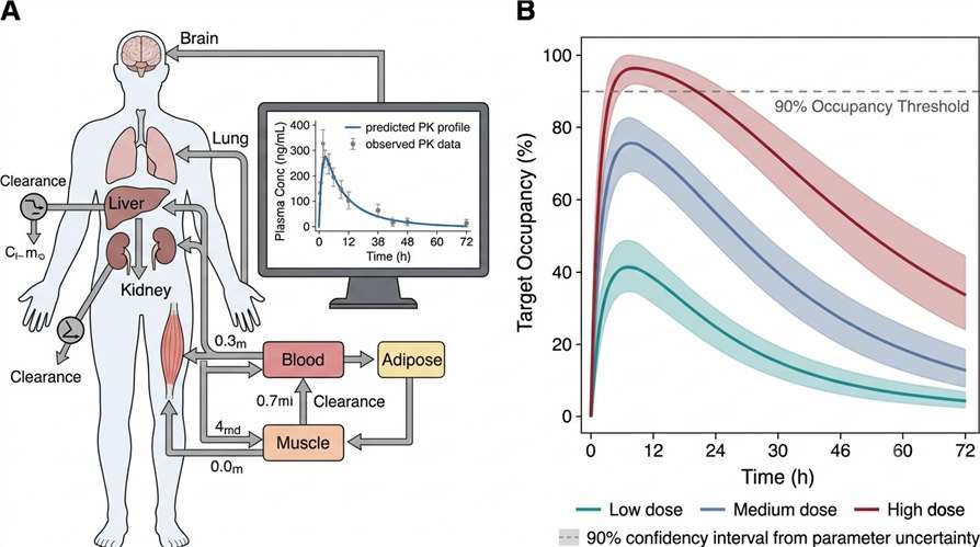 Systems pharmacology modeling schematic showing MS data inputs feeding into PBPK and QSP model simulations for drug discovery decisions