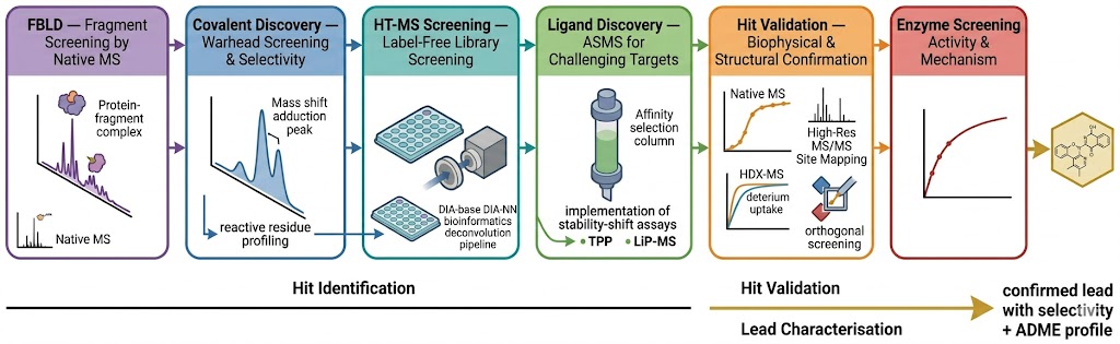 Target to drug discovery workflow diagram showing the integrated pipeline from validated target through six MS-based discovery modalities — FBLD, covalent screening, HT-MS, ligand discovery, hit validation, and enzyme screening — to confirmed lead with selectivity profile and ADME data.