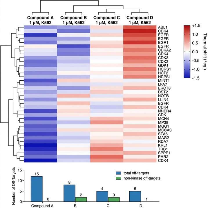 Proteome-wide selectivity fingerprint heatmap showing thermal shift magnitude for all significantly shifted proteins across a panel of four kinase inhibitors at 1 microM, with hierarchical clustering by shift pattern revealing compound-specific off-target profiles.