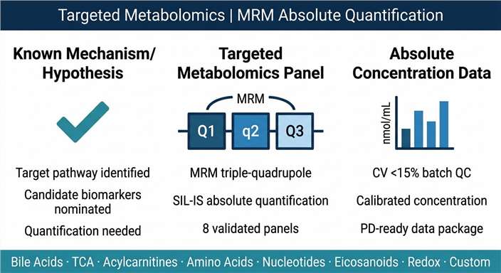 Targeted metabolomics panel screening overview: from defined metabolite panel and drug-treated samples through MRM triple-quadrupole LC-MS/MS to absolute concentration deliverables and pharmacodynamic biomarker confirmation.