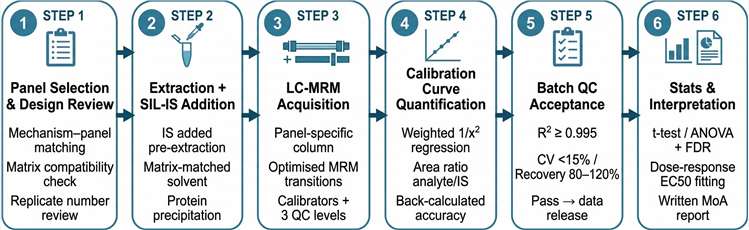 Targeted metabolomics panel screening workflow: panel selection and design review, matrix-matched extraction with SIL-IS addition, LC-MS/MS MRM acquisition, calibration curve quantification, batch QC acceptance, statistical analysis and interpretation.