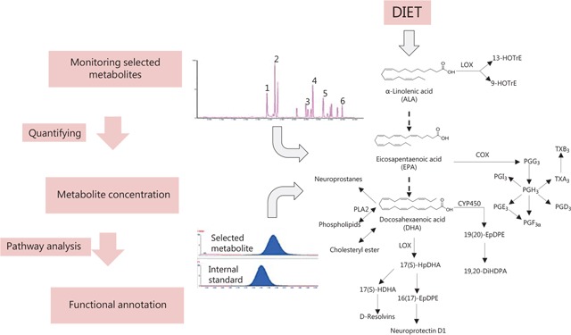 Targeted Metabolomics - Techniques, Advantages, and LC-MS Analysis