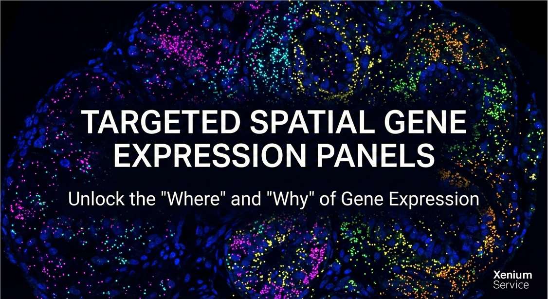 hero image for targeted spatial gene expression service