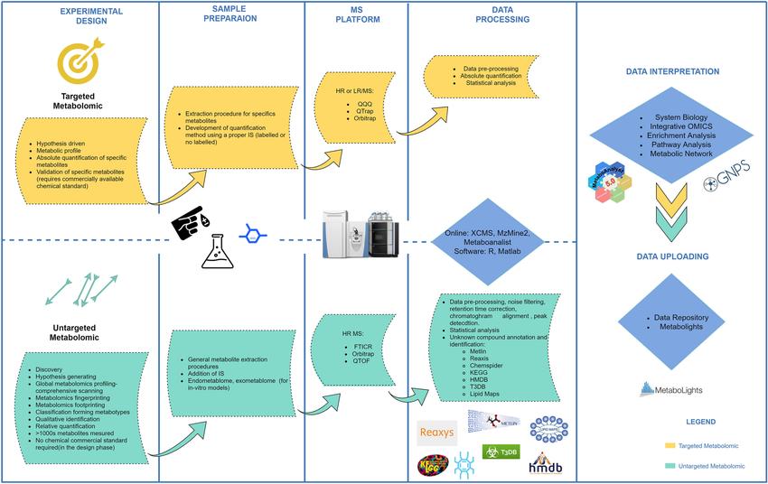 Targeted vs. Untargeted Approaches in Cerebrospinal Fluid Metabolomics