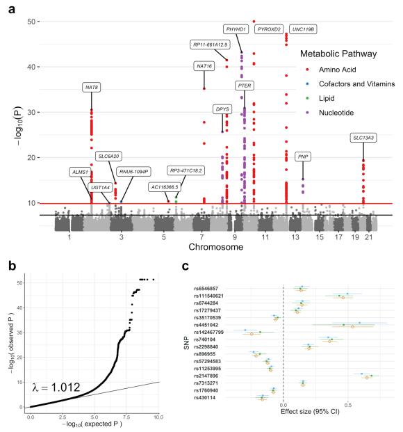 Genome-wide association study (GWAS) meta-analysis of the CSF metabolome