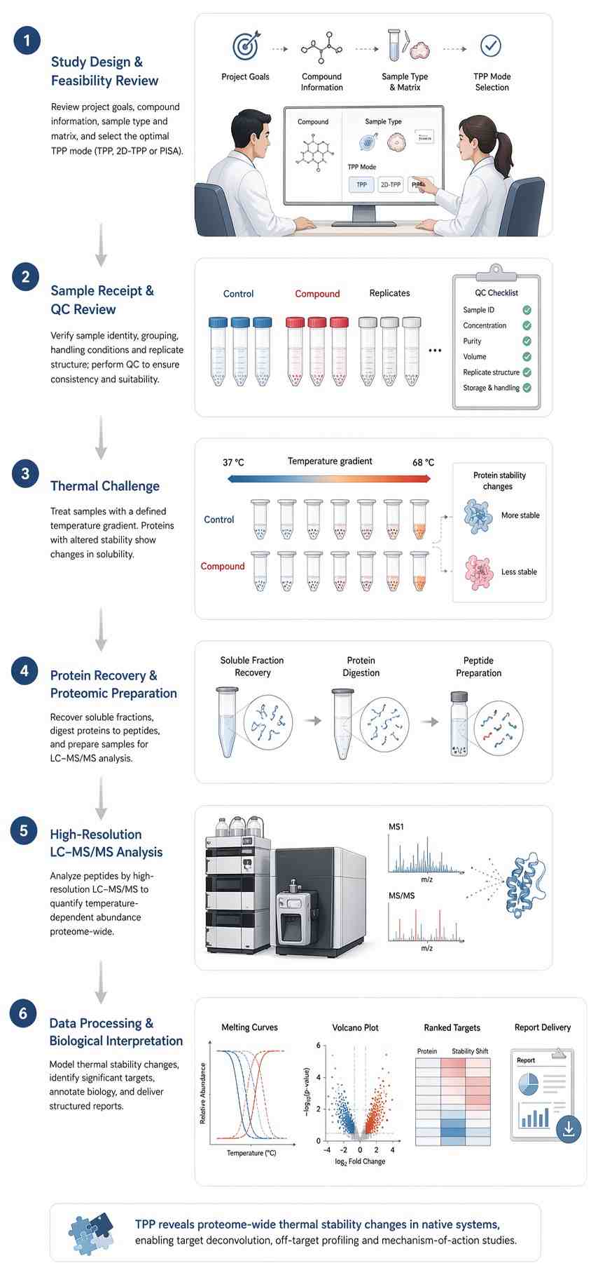 Vertical workflow diagram for Thermal Proteome Profiling showing study design, sample QC, thermal challenge, sample preparation, LC-MS/MS, and data interpretation