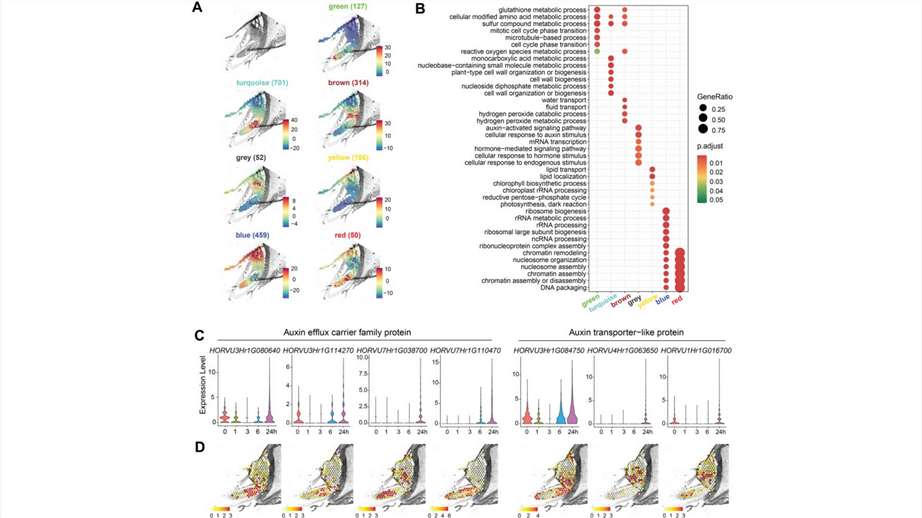 co-expression of spatially variable genes