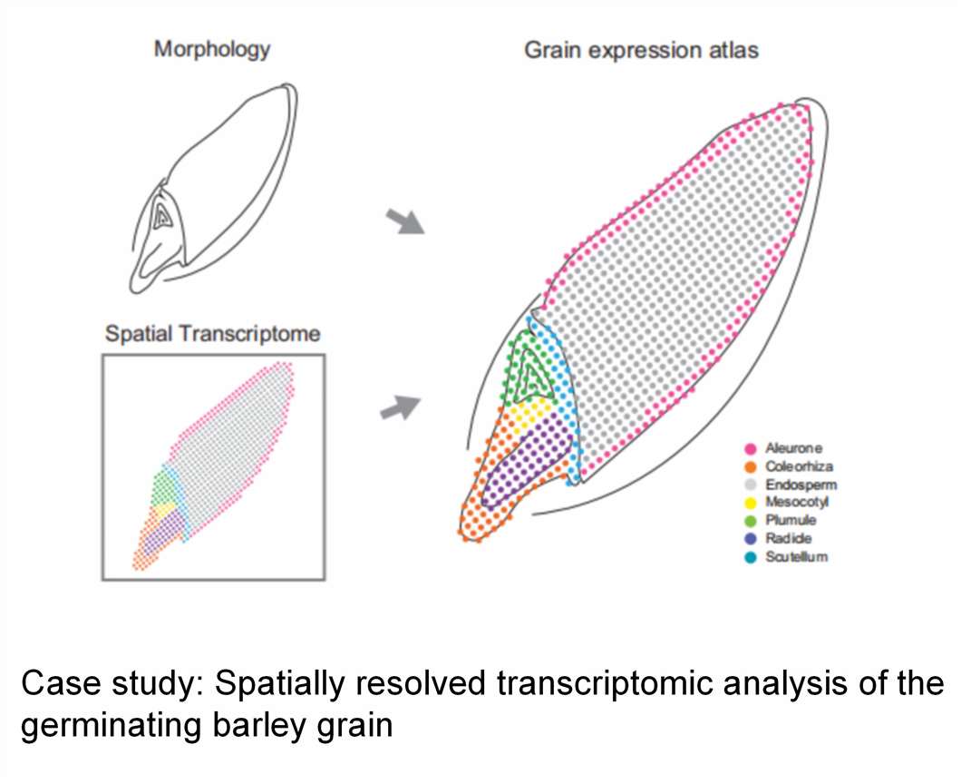graphical abstract