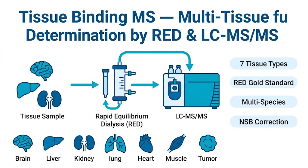 Tissue binding MS service overview with multi-tissue fu analysis by RED and LC-MS/MS