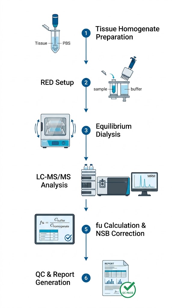 Tissue binding MS workflow 6-step process from homogenate preparation to QC report