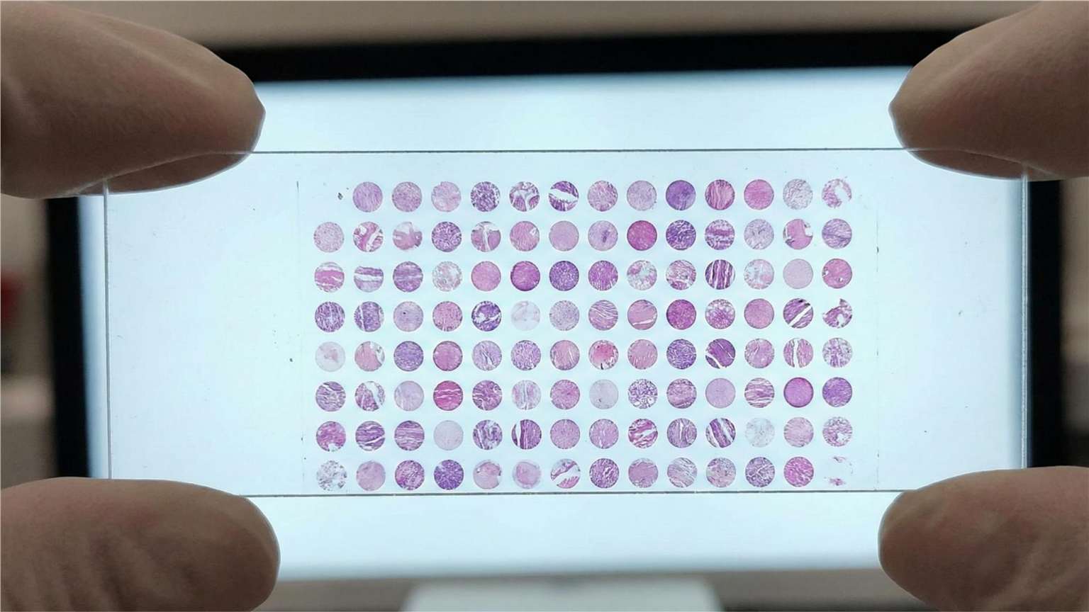 Tissue microarray slides