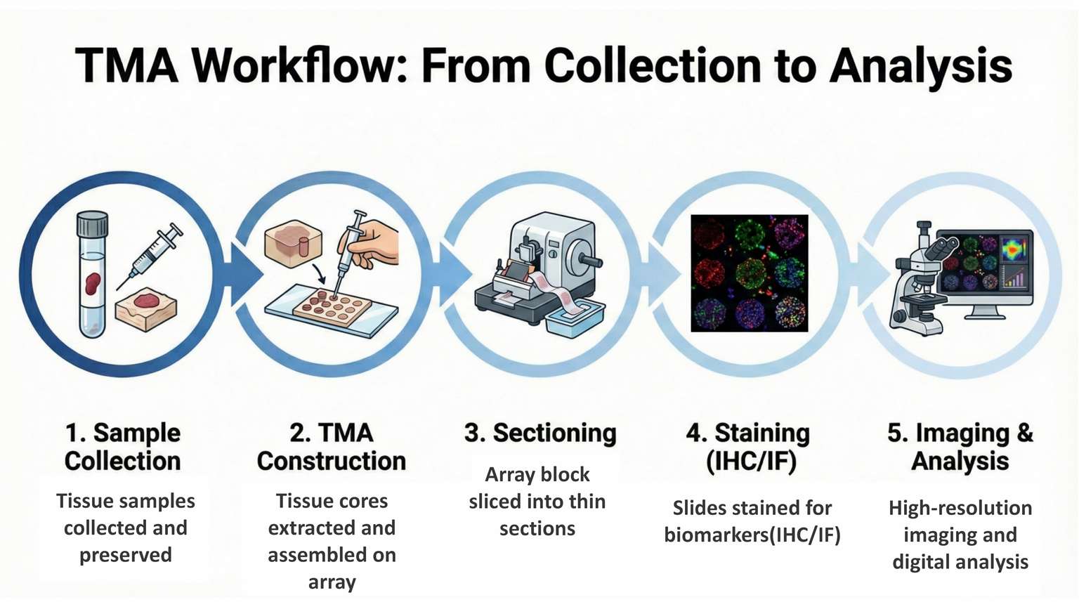 TMA workflow