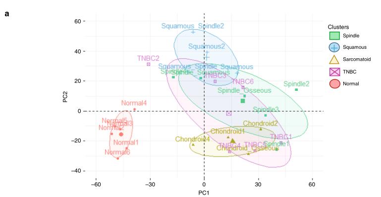 TMT Quantitative Proteomics: Unraveling Protein Profiles in Breast Cancer and Inflammatory Arthritis