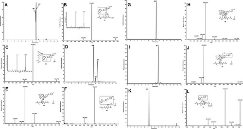 Pexidartinib reactive metabolite identification workflow with GSH trapping and LC-HRMS analysis