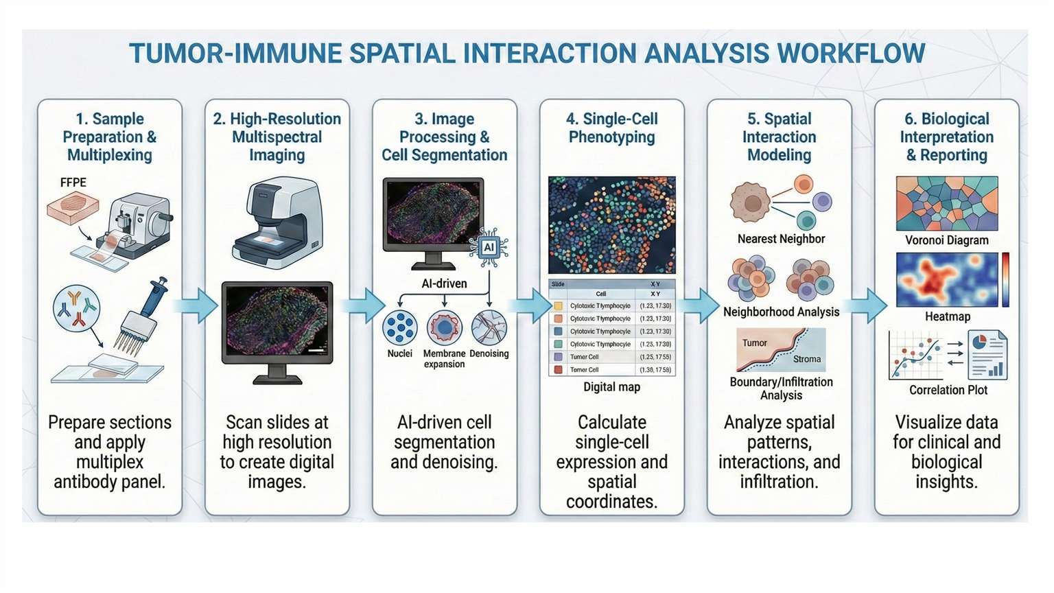 workflow of Tumor-Immune Spatial Interaction Analysis