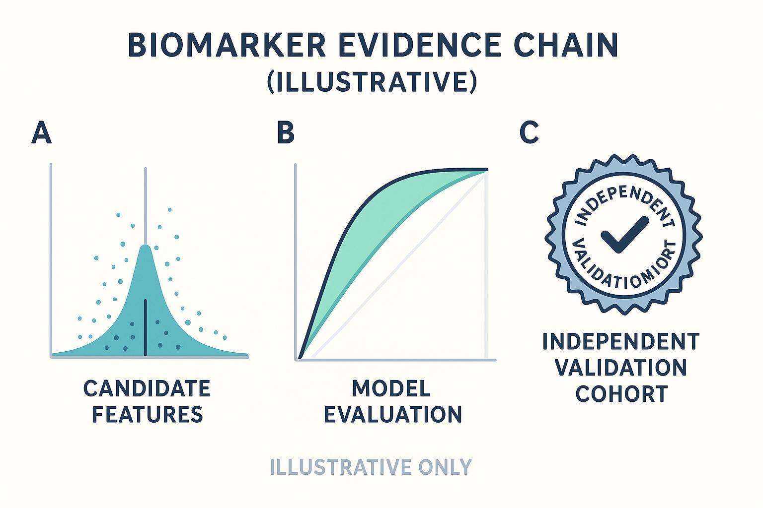 Biomarker discovery evidence chain in metabolomics: candidate prioritisation, model evaluation, and independent validation (schematic).