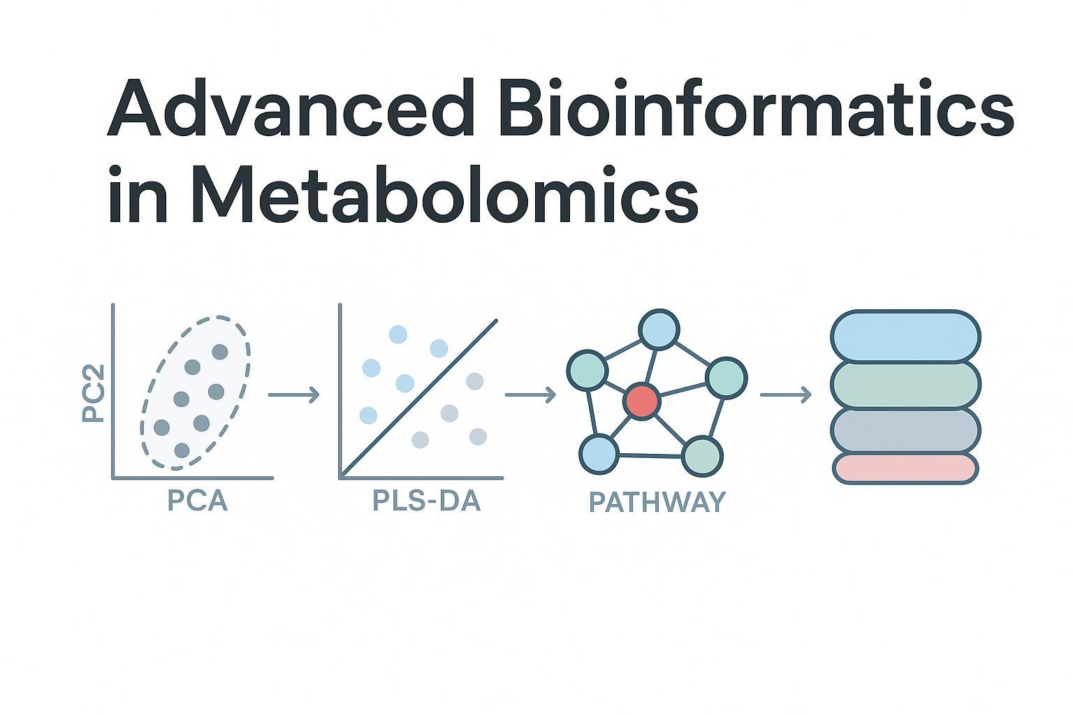 Advanced Bioinformatics in Metabolomics: Beyond PCA/PLS-DA