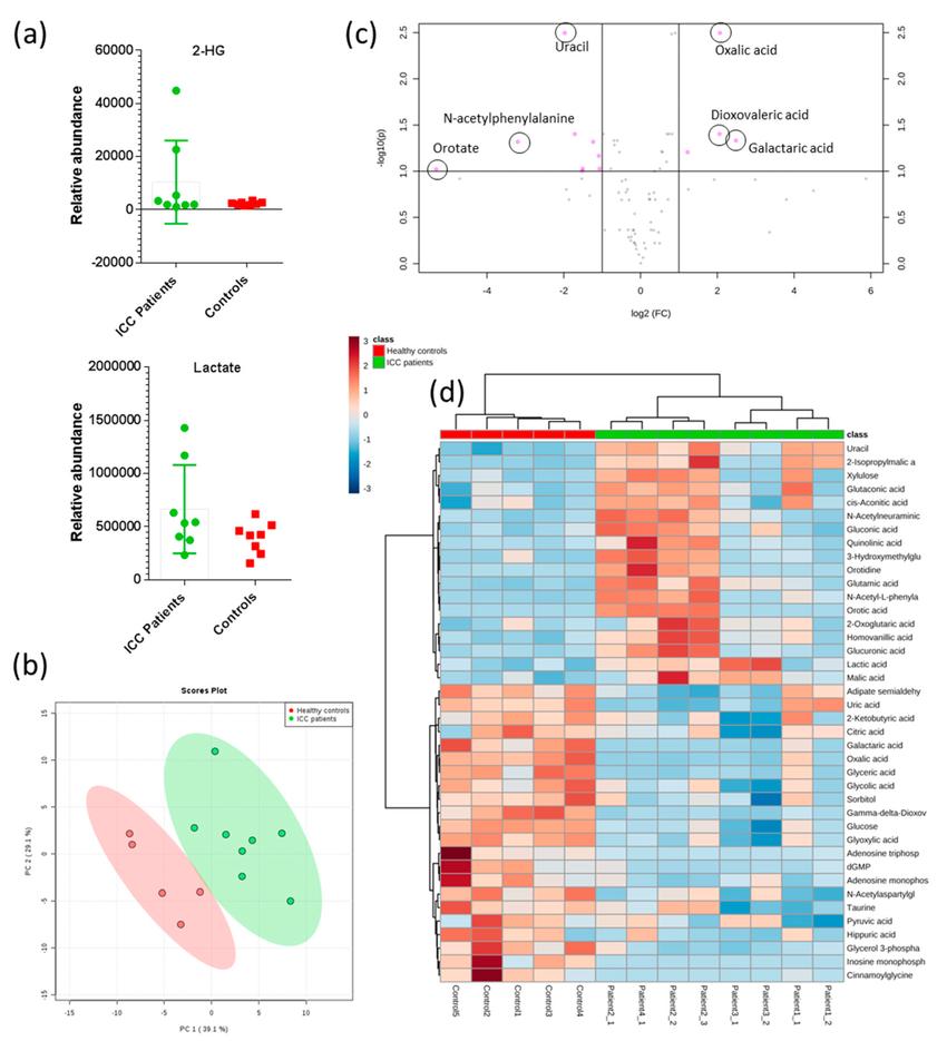 Univariate and Multivariate Analysis of Untargeted Metabolomics