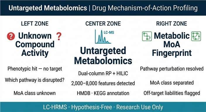 Untargeted metabolomics for drug MoA: three-zone diagram showing unknown compound activity input, LC-HRMS metabolic fingerprinting, and mechanistic pathway output.