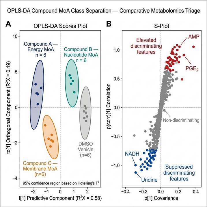 OPLS-DA scores plot and S-plot from comparative compound MoA triage experiment: four compound classes separate clearly in metabolic feature space; S-plot identifies discriminating metabolite features on x-axis loading versus reliability axis.
