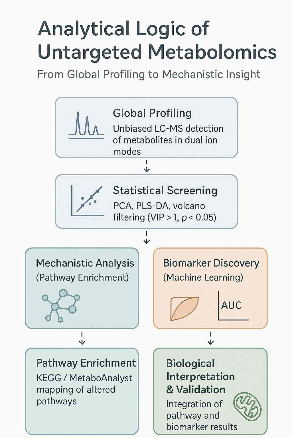 Untargeted metabolomics analytical logic diagram illustrating statistical screening, KEGG pathway enrichment, and biomarker discovery process.