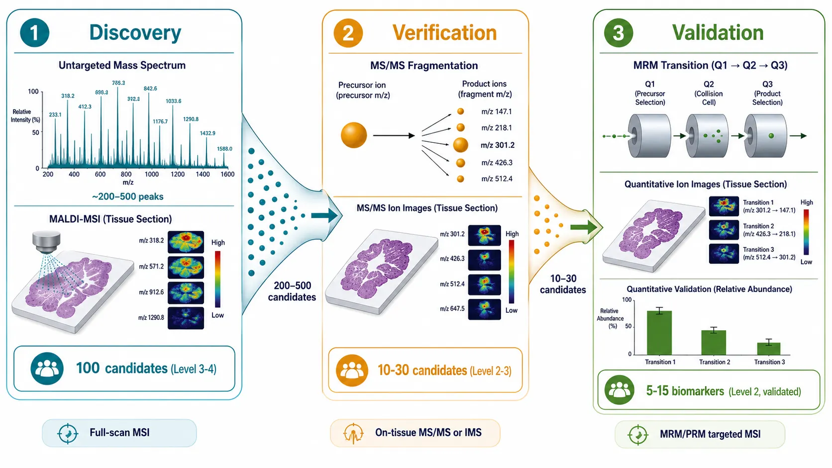Untargeted and Targeted Spatial Lipidomics: From Biomarker Discovery to Custom Panel Validation
