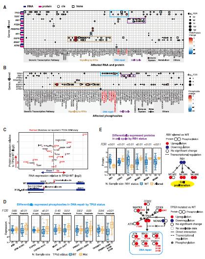 Unveiling the Molecular Complexity of Glioblastoma: Multi-Omics Insights and Therapeutic Prospects
