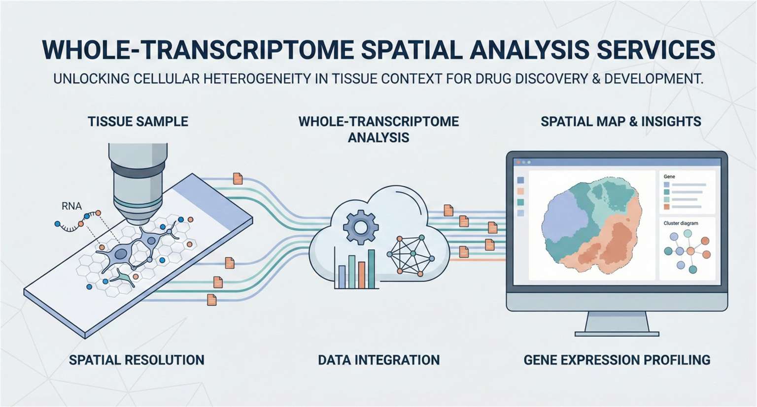 hero image for Whole-Transcriptome