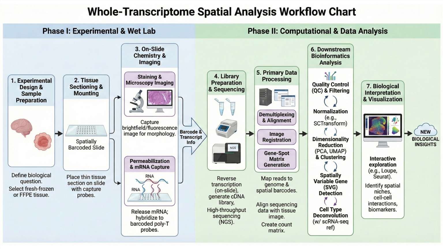 workflow of Whole-Transcriptome Spatial Analysis