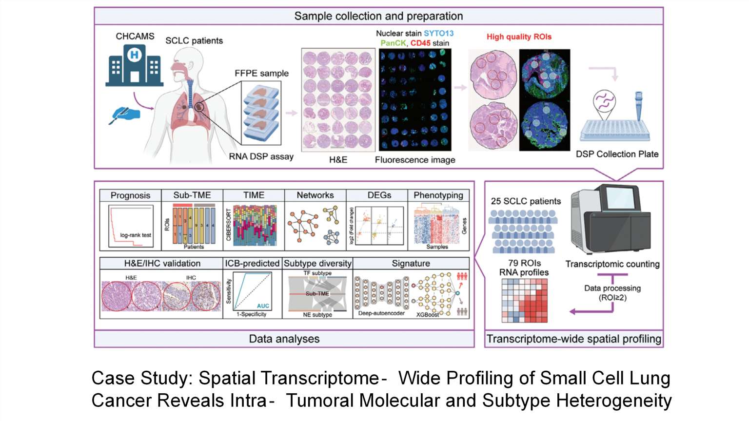 graphical abstract of Whole-Transcriptome