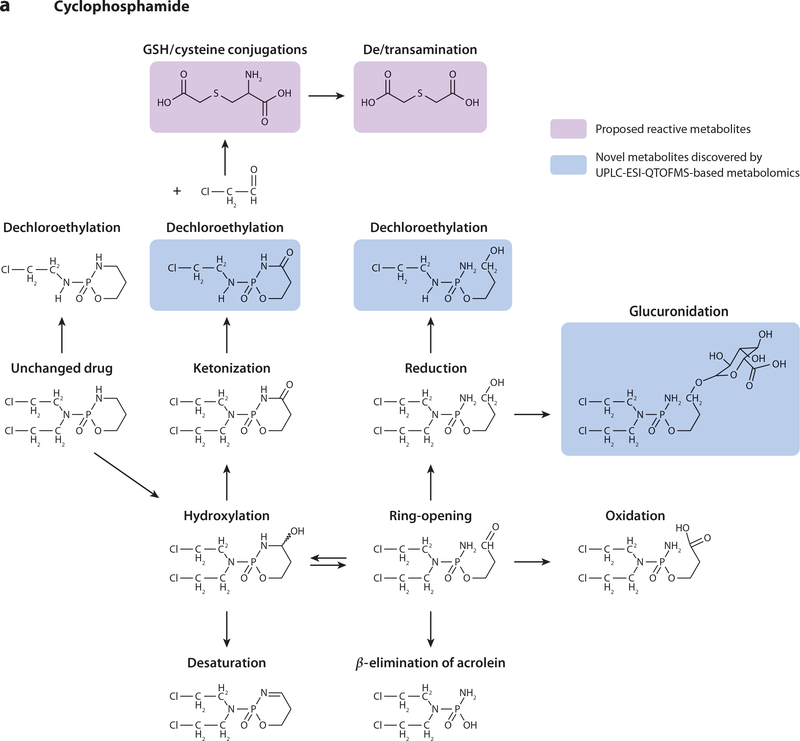Xenobiotic Metabolites Analysis