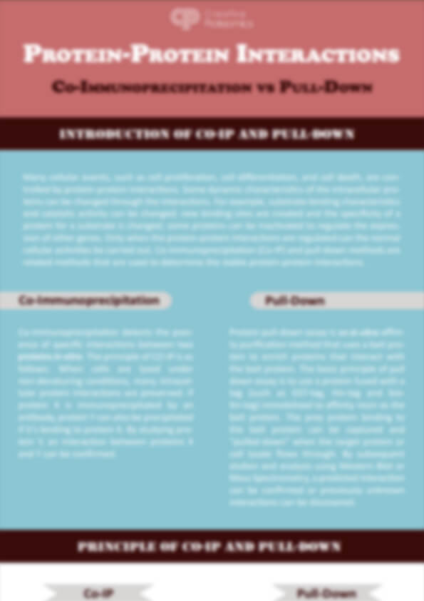 Protein–Protein Interactions—Co-Immunoprecipitation and Pull-Down Assays