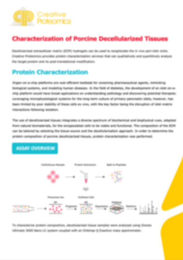 Characterization of Porcine Decellularized Tissues