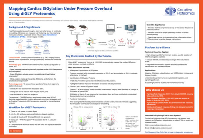 Mapping Cardiac ISGylation Under Pressure Overload Using diGLY Proteomics
