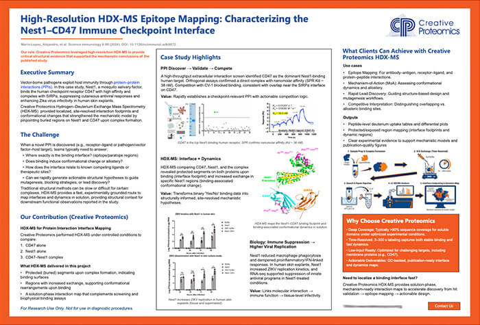 High-Resolution HDX-MS Epitope Mapping: Characterizing the Nest1–CD47 Immune Checkpoint Interface