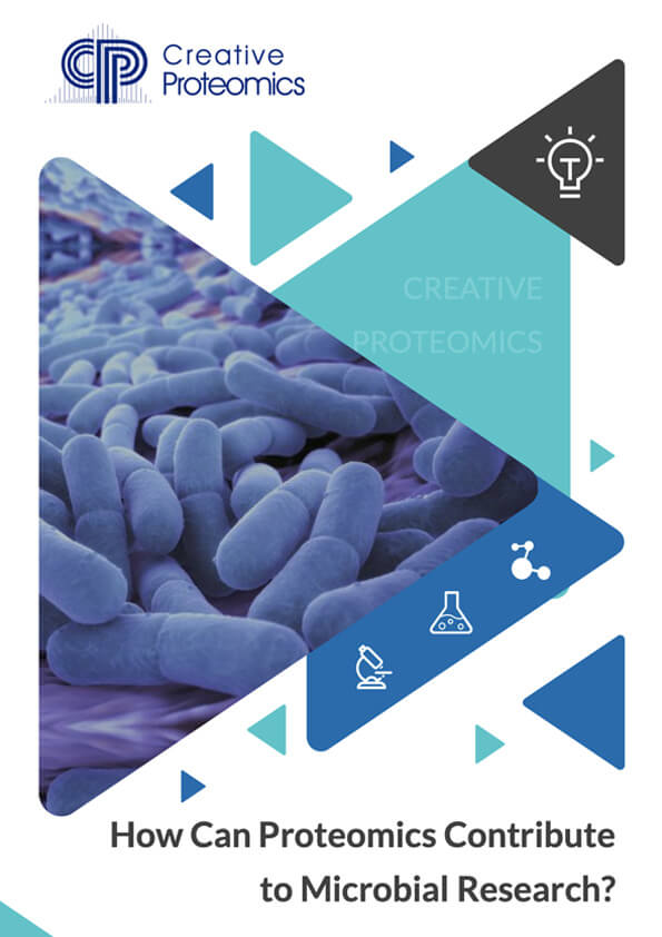How Can Proteomics Contribute to Microbial Research?