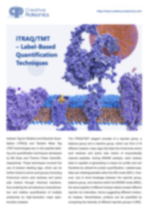 iTRAQ/TMT – Label-Based Quantification Techniques