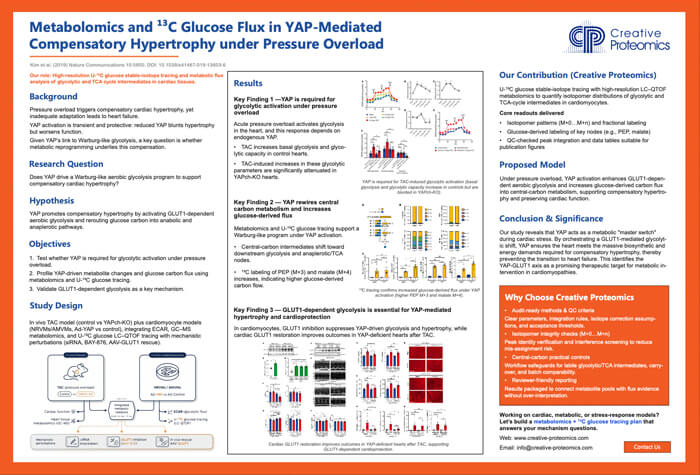 Metabolomics and ¹³C Glucose Flux in YAP-Mediated Compensatory Hypertrophy under Pressure Overload