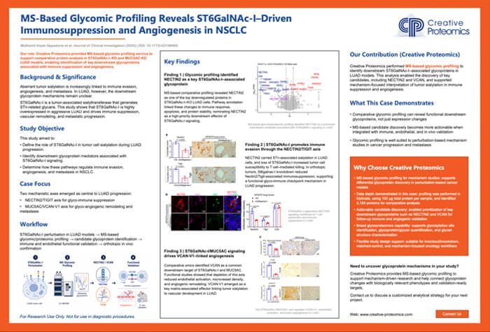 MS-Based Glycomic Profiling Reveals ST6GalNAc-I–Driven Immunosuppression and Angiogenesis in NSCLC