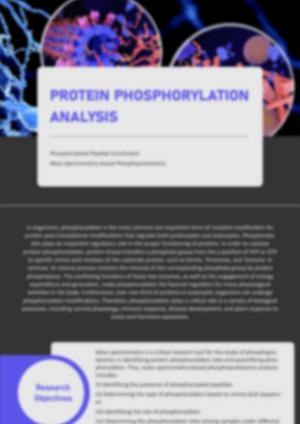 Protein Phosphorylation Analysis