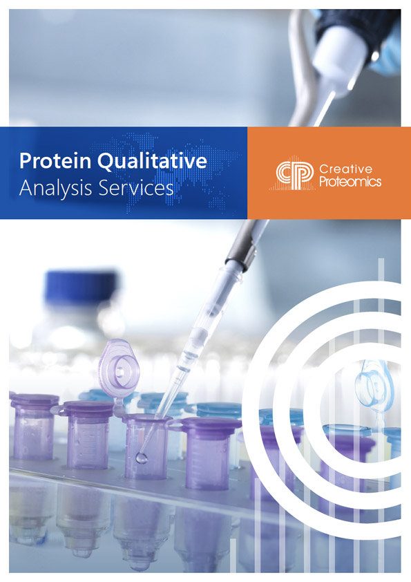 Protein Qualitative Analysis Services